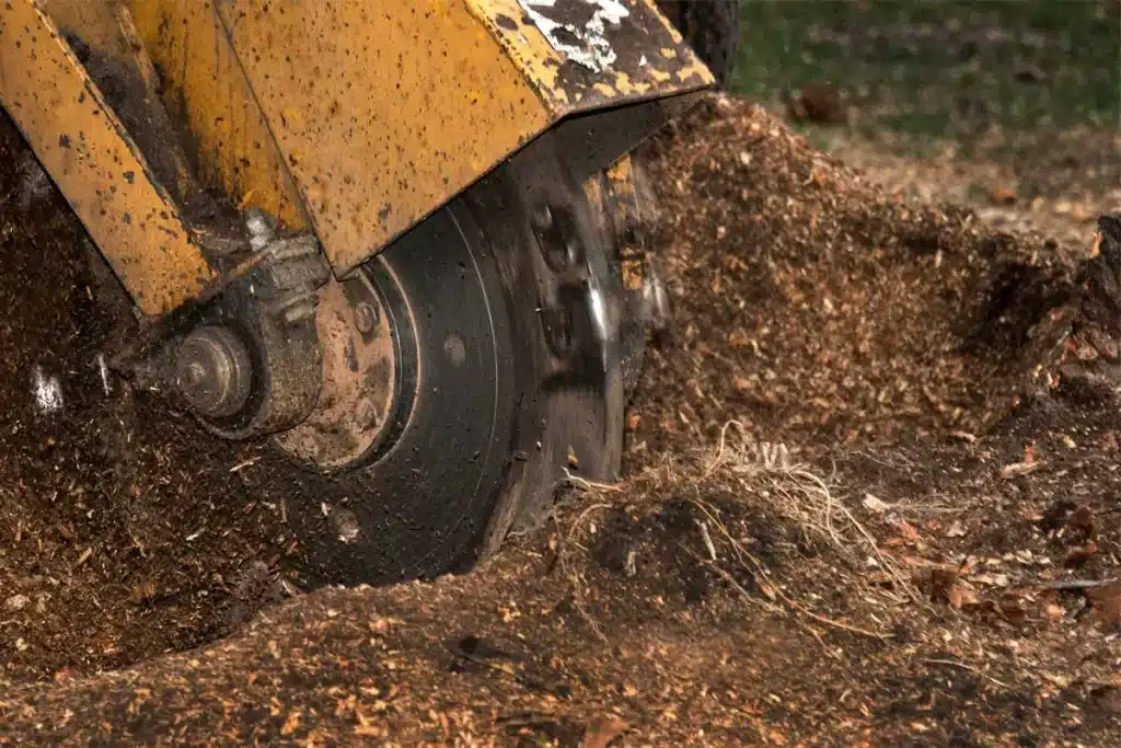 Unveiling the Magic of Stump Grinding Services