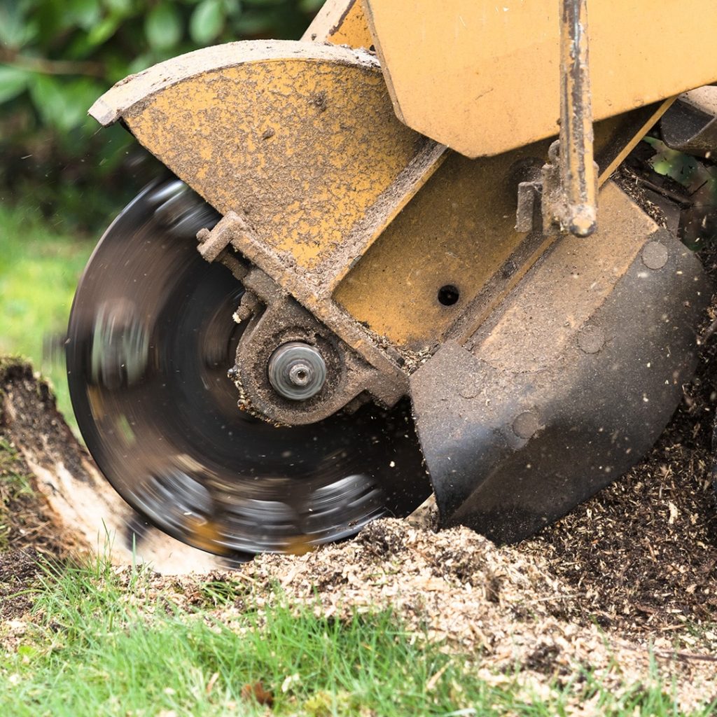 How to sharpen stump grinder teeth?