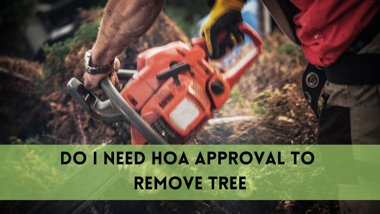 do i need hoa approval to remove tree