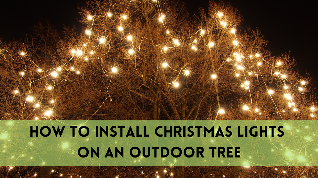 how to install christmas lights on an outdoor tree