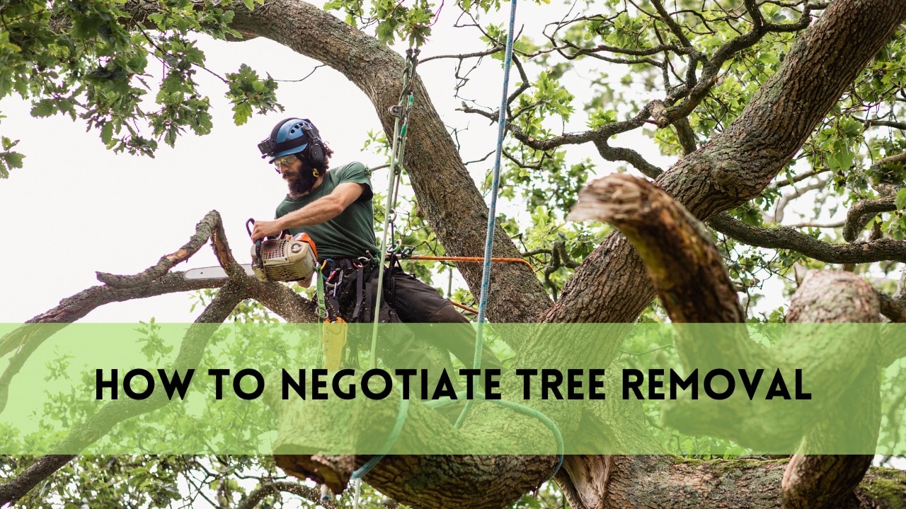 how to negotiate tree removal