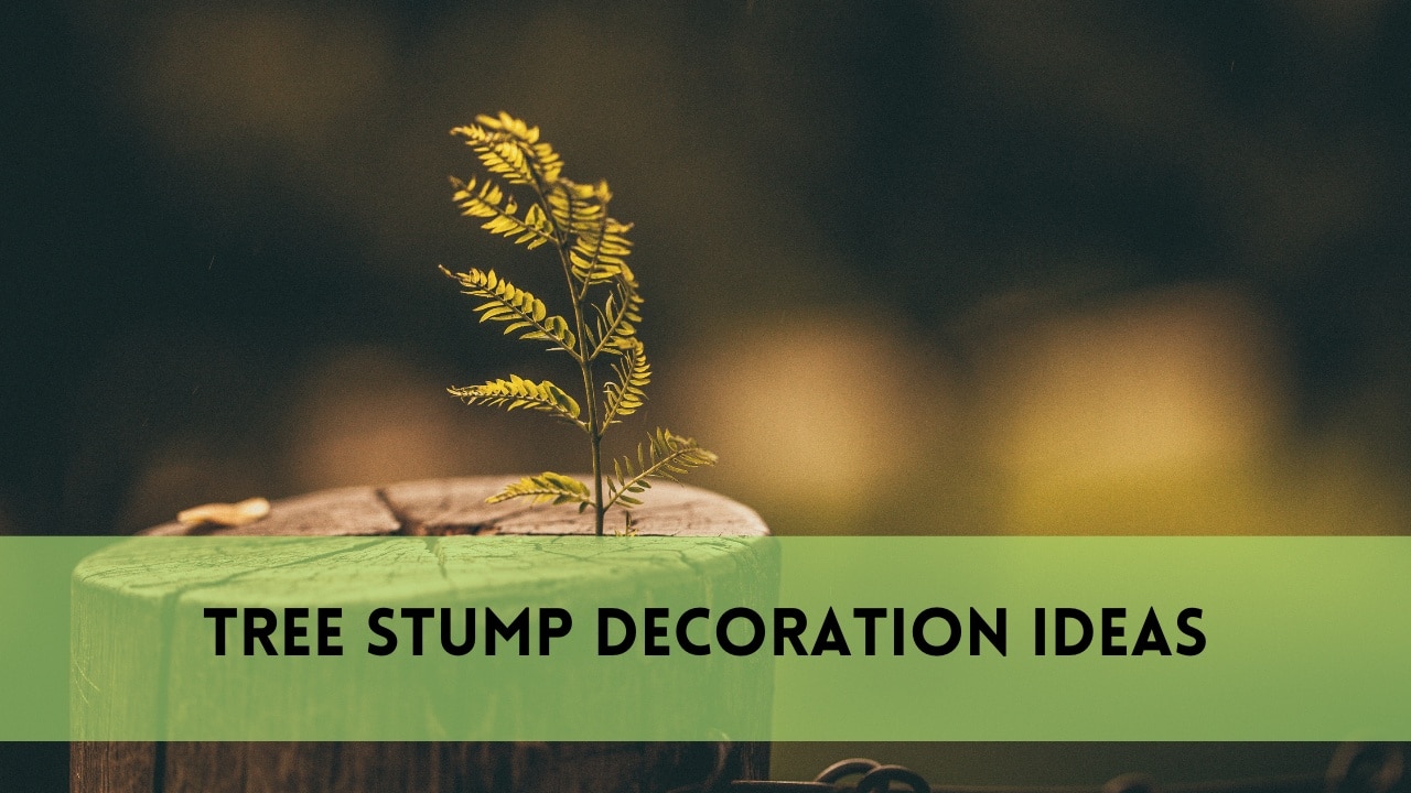 tree stump decoration ideas