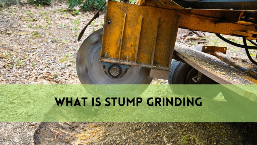 what is stump grinding